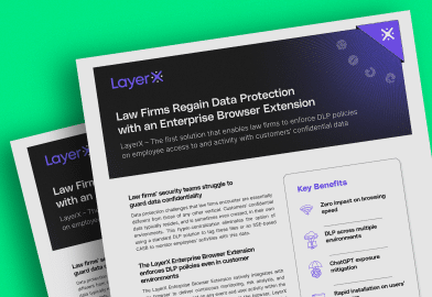LayerX Datasheet for Law Firms