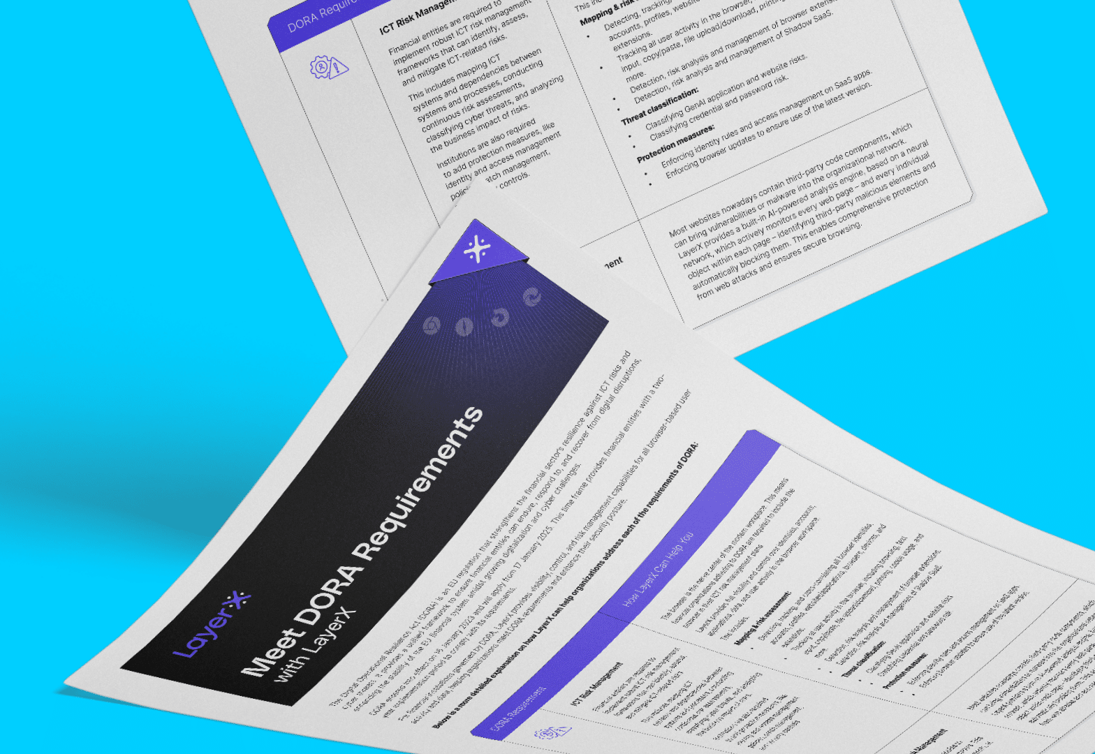 Meet DORA Requirements with LayerX