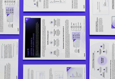 LayerX: Control AI Usage & Prevent AI Data Leakage